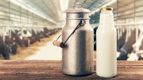 Milch kann so viel mehr, als man denkt (Symbolfoto). - Foto: iStock/ronstik