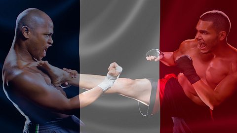 MMA-Verbot in Frankreich wird aufgehoben (Collage). - Foto: iStock/innovatedcaptures, iStock/ronniechua