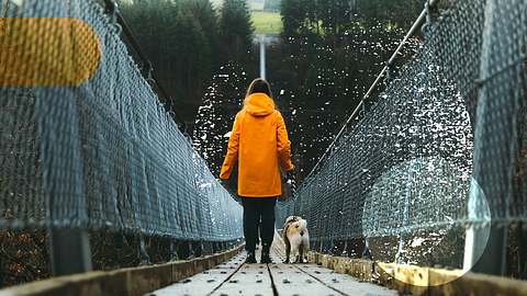 Wandern  - Foto: iStock /  Anastasiia Shavshyna