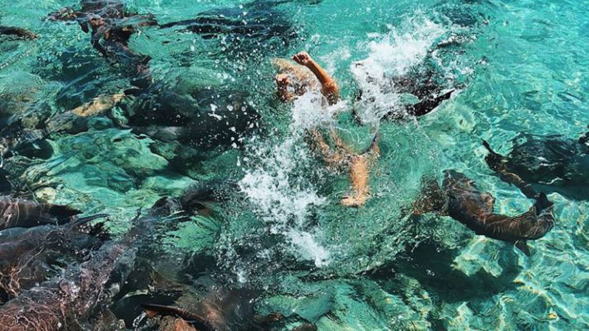 Katarina Zarutskie wir unter Wasser gezogen