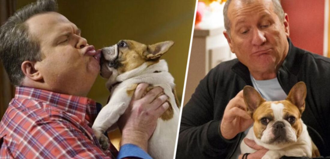 Modern Family: Serienhund Stella ein Tag nach Drehschluss gestorben Modern Family