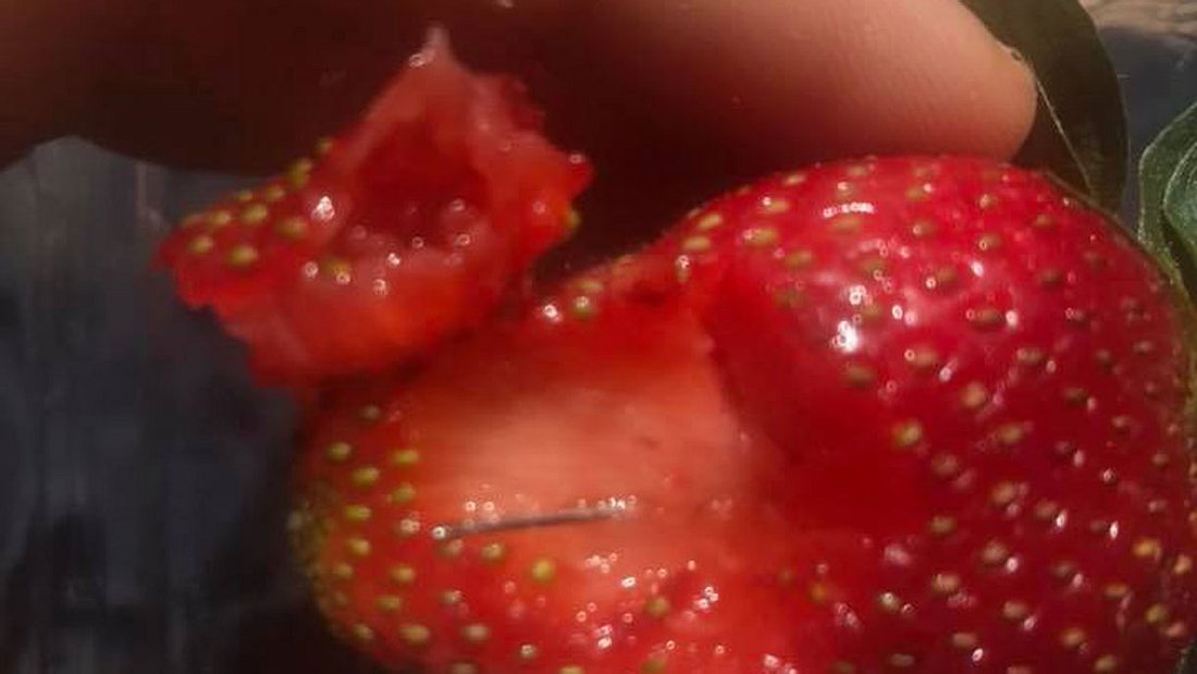 Nadeln in Erdbeeren