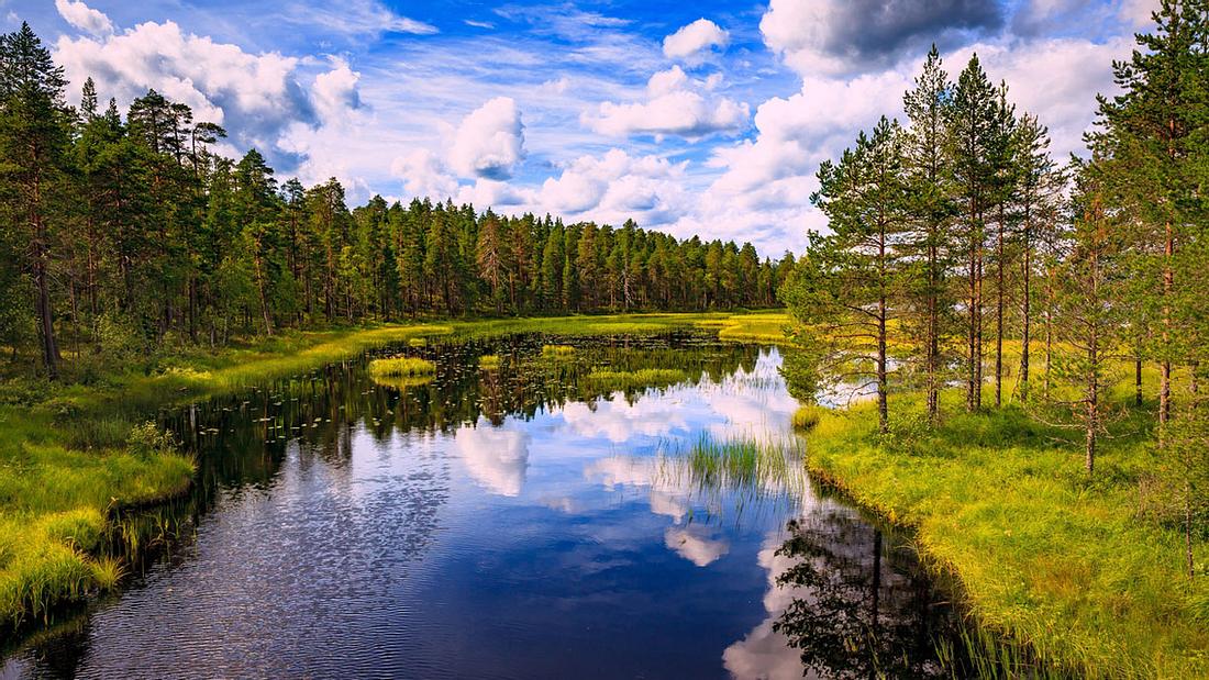 Durch die unberührte Wildnis Finnlands Durch die unberührte Wildnis Finnlands