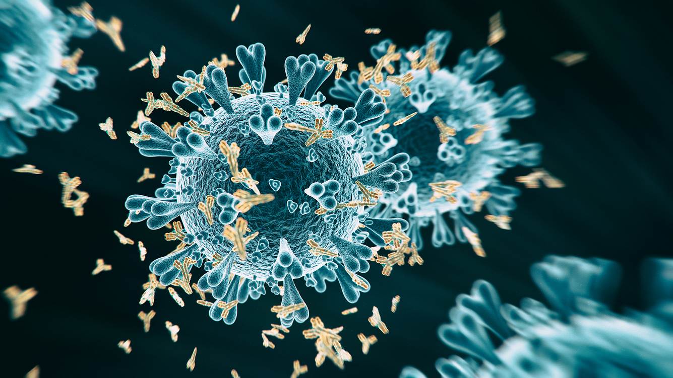 Experten besorgt: Das macht die neue Corona-Mutation so tückisch Virus-Grafik