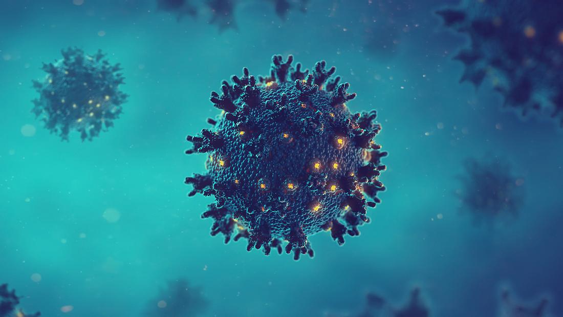 Neuer Grippevirus Virenzelle