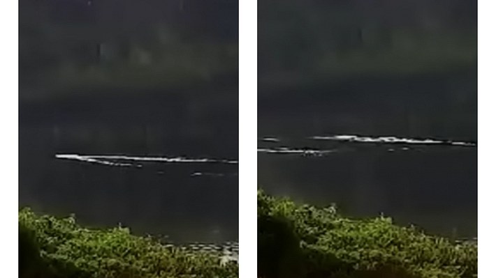 Ist das Nessie? - Foto: YouTube/Eoin Fagan (Screenshot)