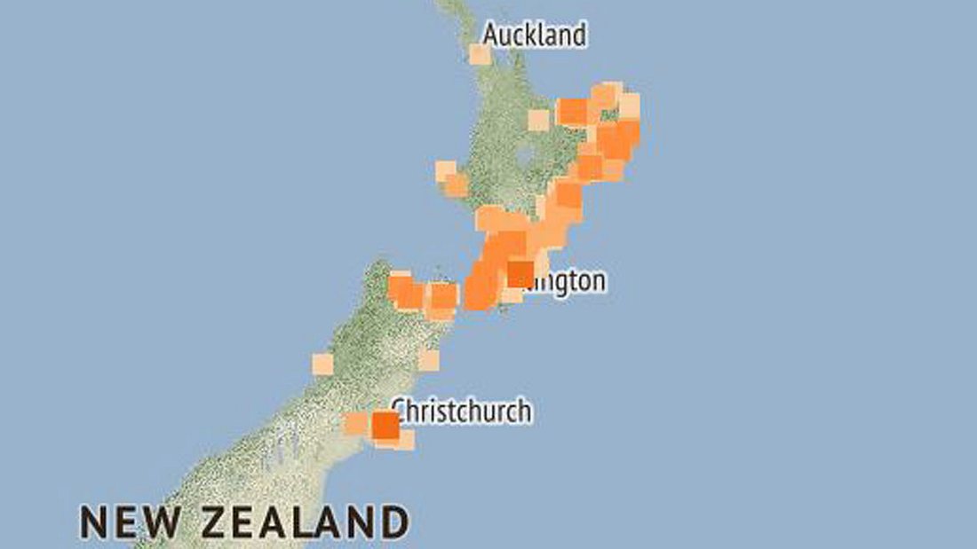 Erdbeben Welle Erschuttert Neuseeland Tsunami Droht Mannersache