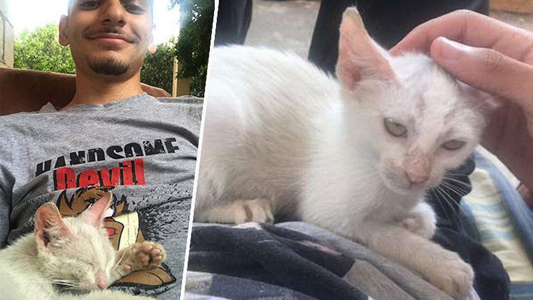 Ali Safa und sein neuer Freund Ali Safa und sein neuer Freund