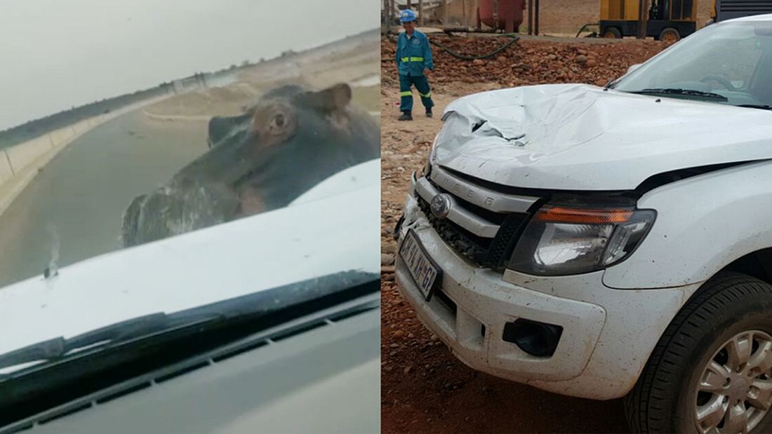 Crash-Video: Nilpferd schrottet Safari-Jeep