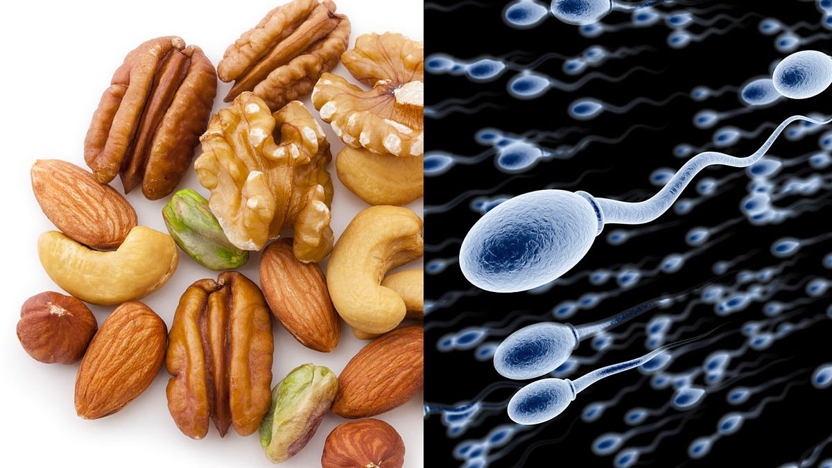 Das Essen von Nüssen und Mandeln steigt die Spermienqualität