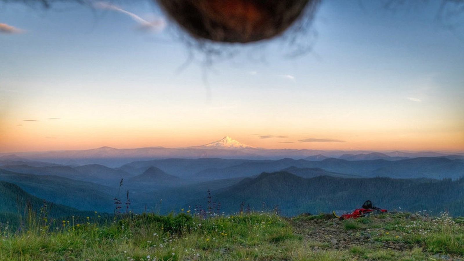Nutscaping Was hinter dem zweifelhaften Trend steckt Männersache
