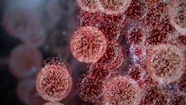 Coronavirus - Foto: iStock/nopparit