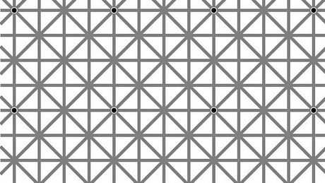 Optische Illusion Will Kerslake - Foto: Will Kerslake