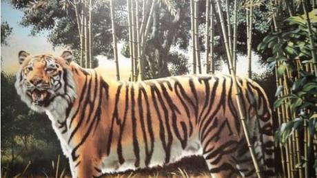 Nur 1% der Menschen können den zweiten Tiger sehen - Foto: Playbuzz