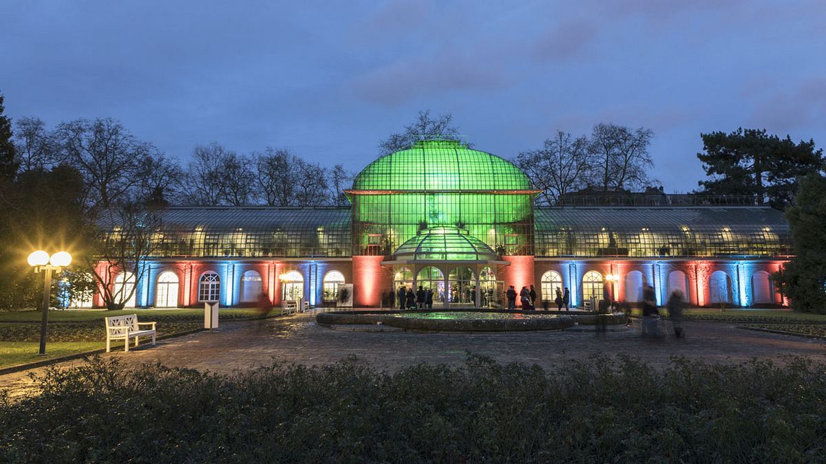 Der Palmengarten in Frankfurt.