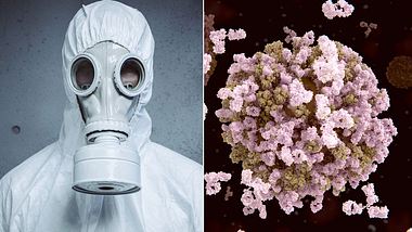 Pandemie-Warnung von Ex-WHO-Chefin (Symbolfotos/Collage) - Foto: iStock/selvanegra, iStock/caracterdesign