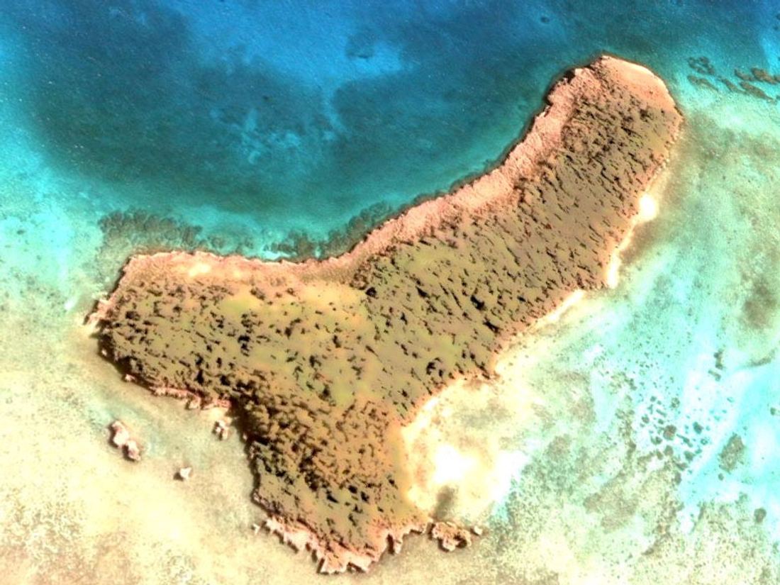 Satelliten-Ansicht einer Insel in Penis-Form