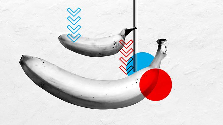 Zwei unterschiedlich große Bananen - Foto: iStock / Koldunova_Anna