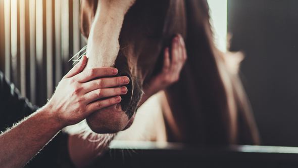 Mann streichelt Pferd - Foto: iStock / welcomia