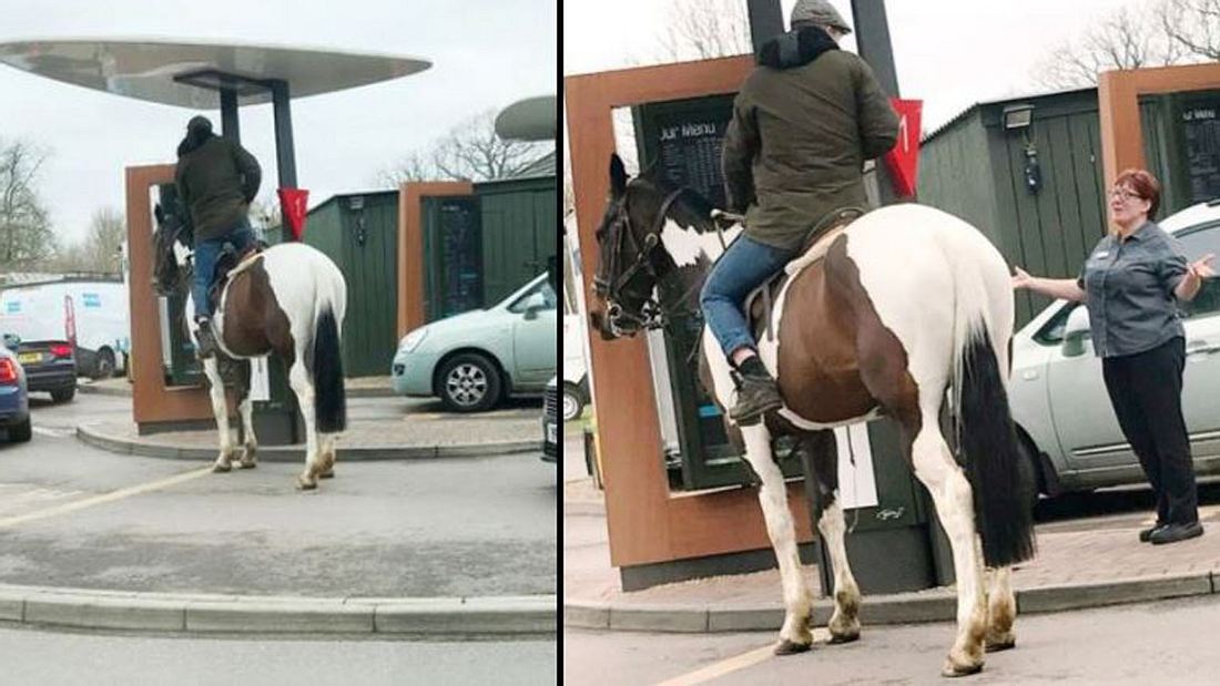 Ein Pferd im McDrive Ein Pferd im McDrive