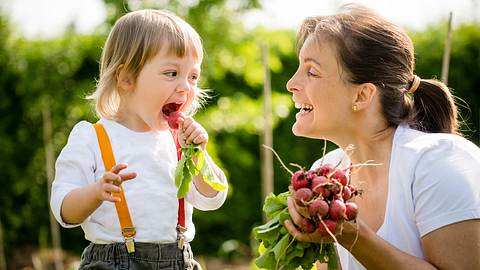 Studie: Pflanzen reagieren auf Geräusche - Foto: iStock/Martinan