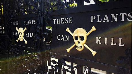 Die Warnung vor dem Eintritt in den Poison Garden - Foto: Instagram / nickwearmouth89