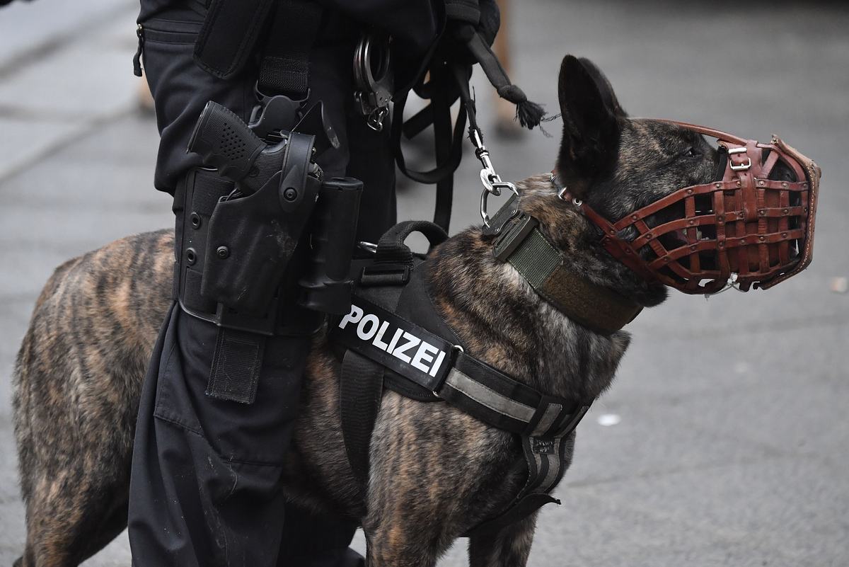 Polizeihund im Einsatz