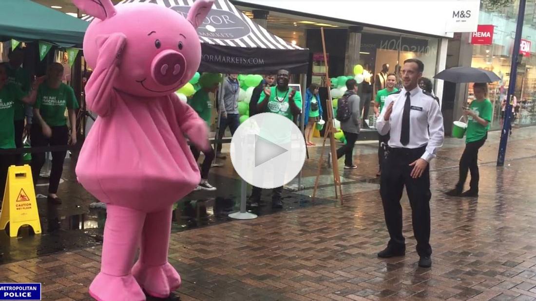 Bulle zerstört Schwein: Dieses Video zeigt das einseitige Dance-Battle zwischen einem Polizisten und einem XXL-Schwein So sieht ein Tanzwettbewerb zwischen einem Polizisten und einem Schwein aus