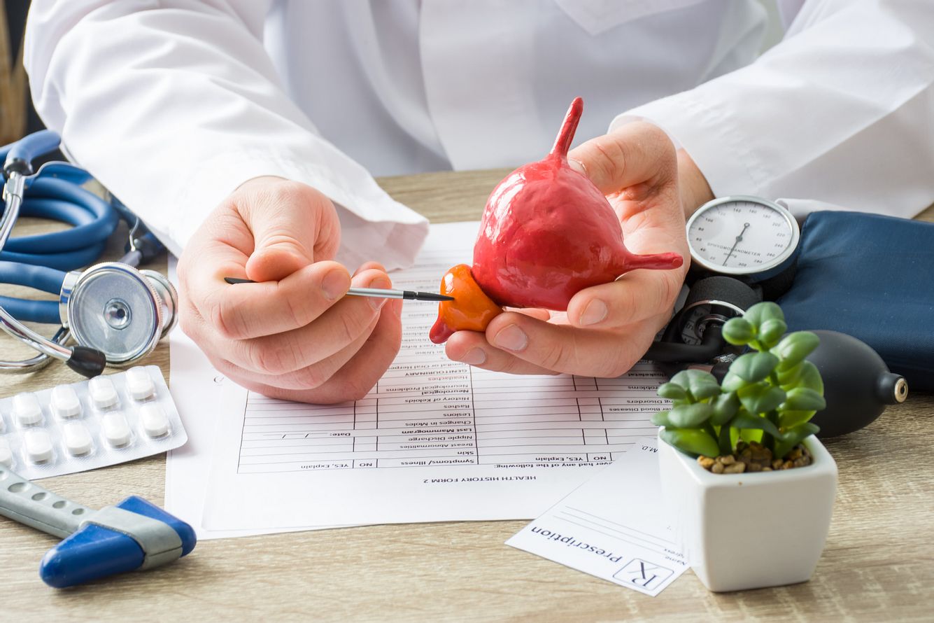 Interview: Prostata-Experte beantwortet alle wichtigen Fragen zur Vorsteherdrüse Arzt zeigt Patienten Form der Prostata mit Fokus auf Hand mit Organ