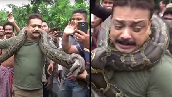 Mann wird beinahe von einer Python erwürgt - Foto: YouTube / SWNS TV
