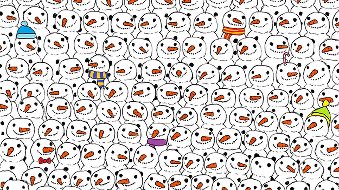 Wo ist der Panda? Internet steht Kopf wegen dieses Bildes