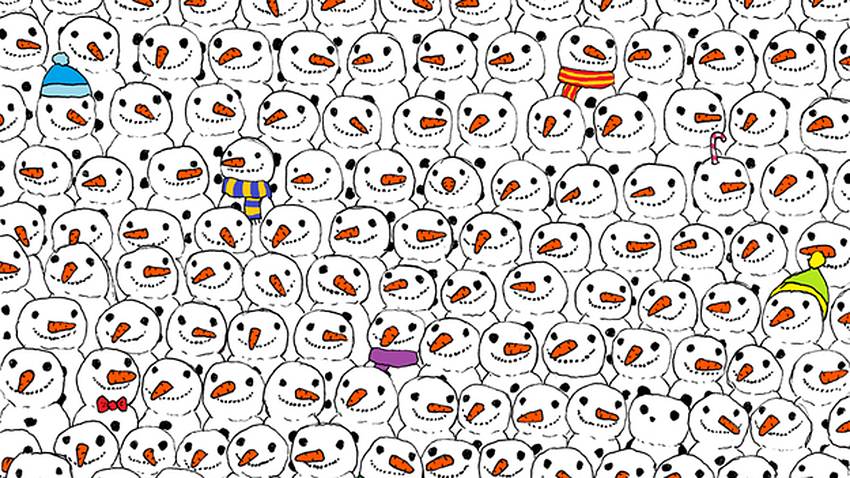 Wo ist der Panda? Internet steht Kopf wegen dieses Bildes - Foto: Facebook/ theDudolf