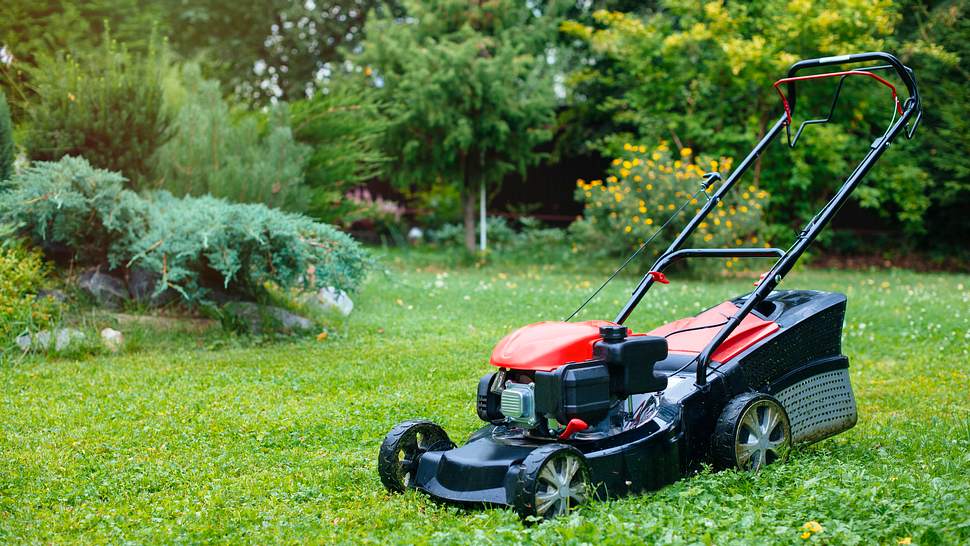 Rasenmäher im Garten - Foto: iStock/ArtMarie