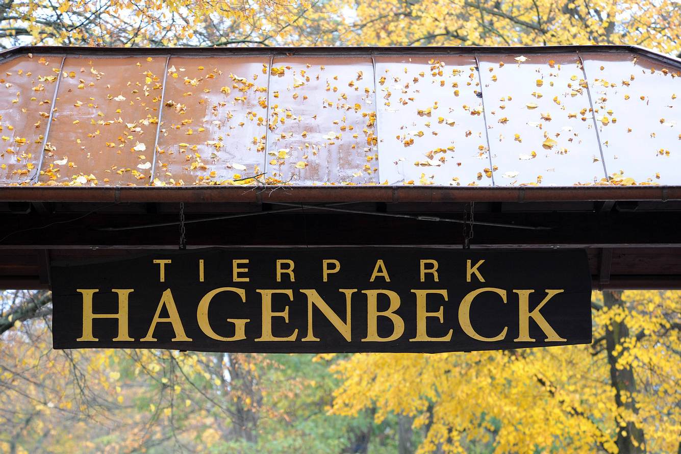 Rassismus: Ex-Fußballweltmeister erhebt schwere Vorwürfe gegen deutschen Zoo Hagenbeck-Schild