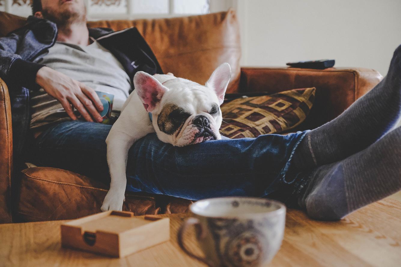 Restflix: Streamingdienst für besseren Schlaf Mann, der auf dem Sofa eingeschlafen ist, mit Hund auf dem Schoß