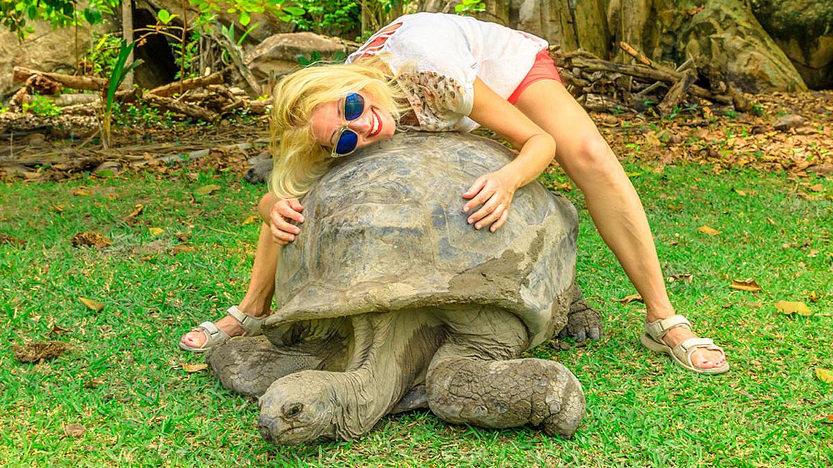 Riesenschildkröte mit Touristin