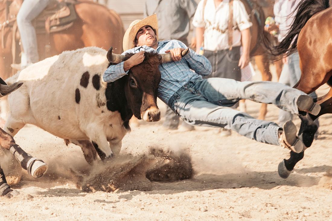 Stier attackiert Mann beim Rodeo