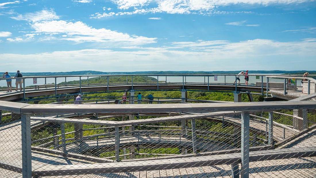 Der Baumwipfelpfad in Diese 5 Sehenswürdigkeiten auf Rügen sind ein Muss