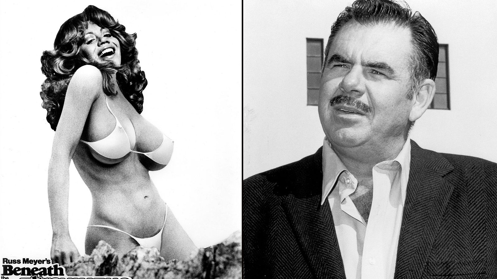 Legendäre Darstellerinnen: Russ Meyer hatte stets große 