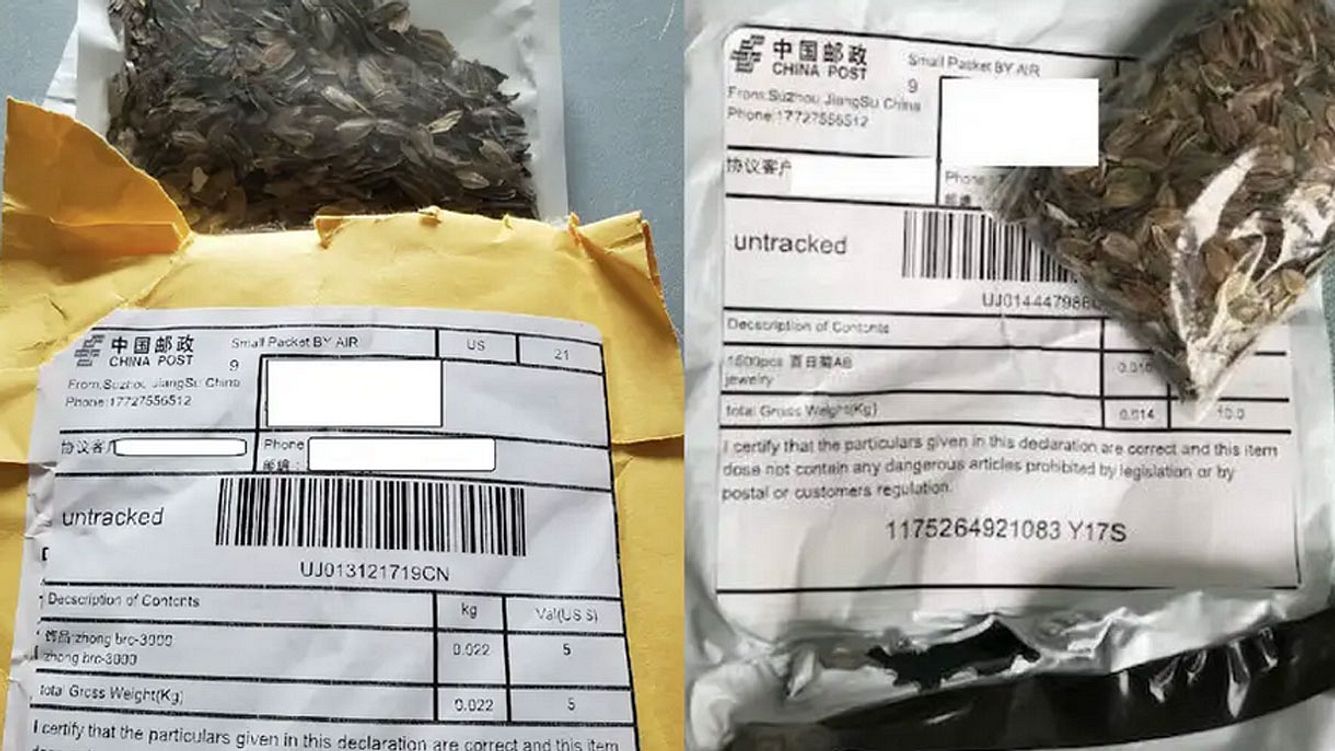 Samenpakete aus China Samenpakete aus China