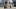 Sapsal-Hunde - Foto: Adobe Stock / ufokim