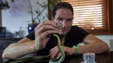 Steve Ludwin mit einer seiner Giftschlangen - Foto: Geytty Images / AFP Contributor