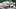 Schneeleopard - Foto: iStock / BenLin