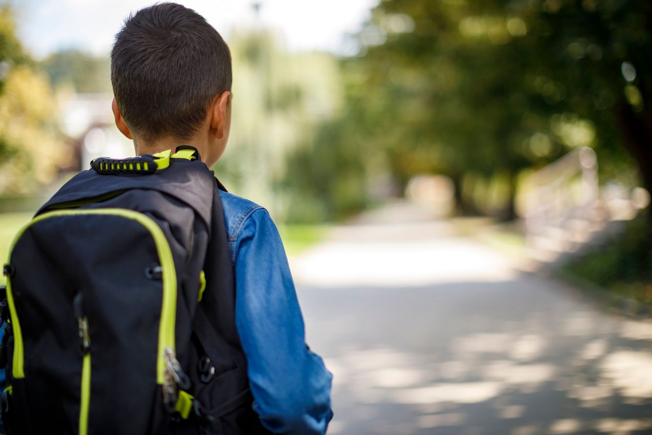 Schüler Schüler