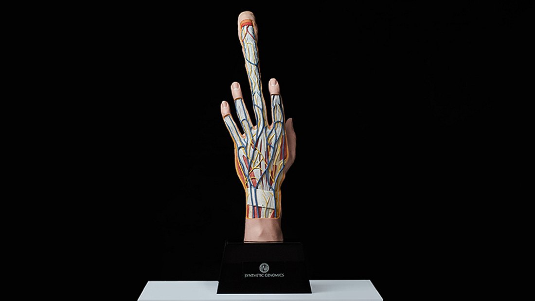 The Seeding Finger: Die Zukunft der Fortpflanzung?
