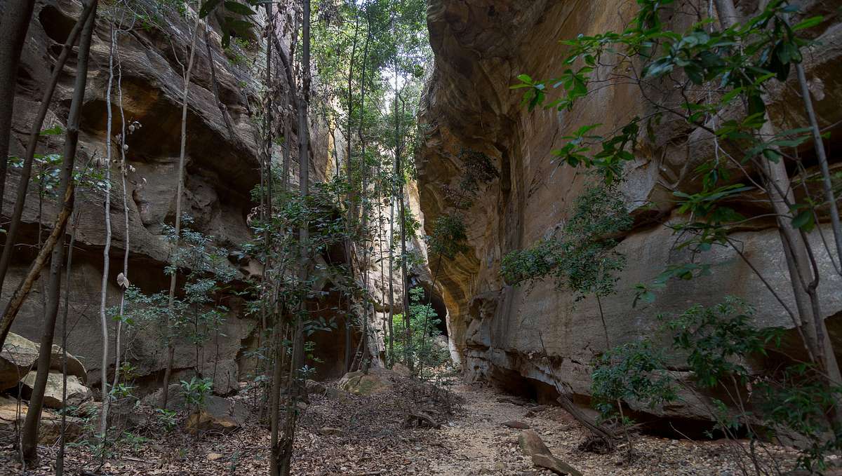 Serra da Capivara in Brasilien