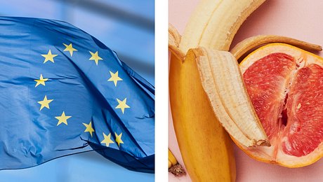 EU-Fahne, Banane & Pampelmuse - Foto: iStock/artJazz, iStock/Adene Sanchez