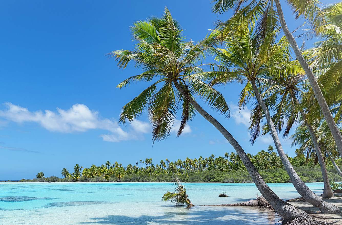 Ranking der 15 sichersten Reiseziele trotz Corona-Krise Strand, Palmen, Meer