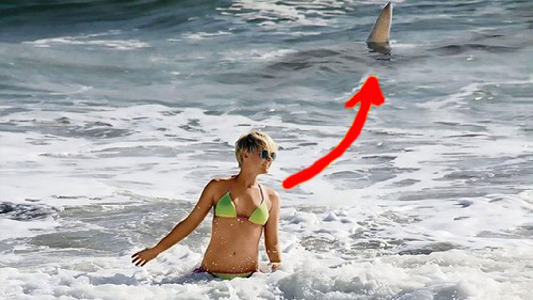 Die Schöne und das Biest, so titelte die BILD Zeitung Deutsches Model badet unbemerkt mit Haien