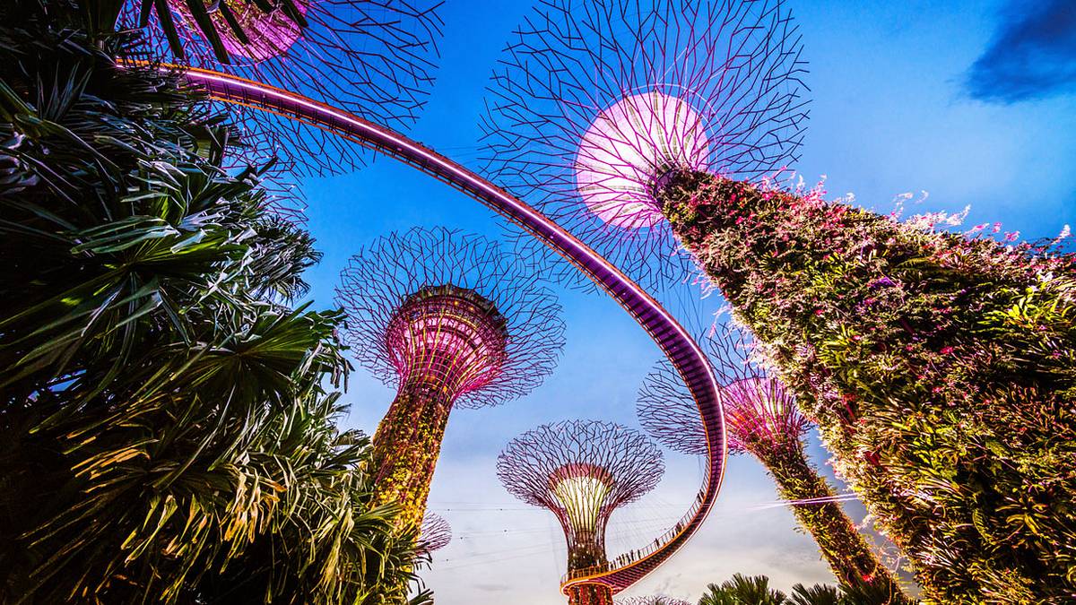 Gardens by the Bay